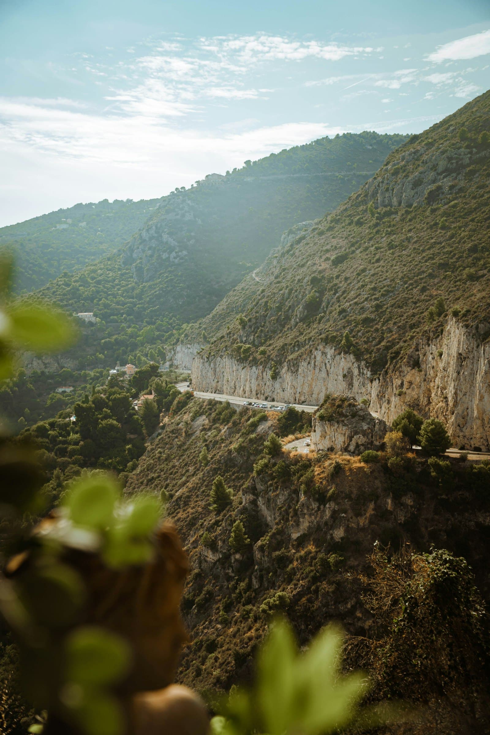 Verdant valley viewed from a high trail.
